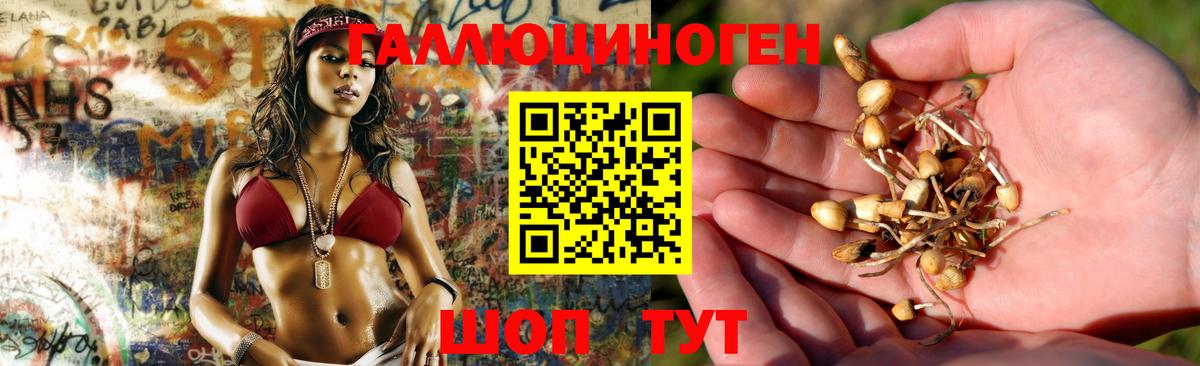 Псилоцибиновые грибы ЛСД  Вход с VPN  Тара  Галлюциногенные грибы Magic Shrooms 
